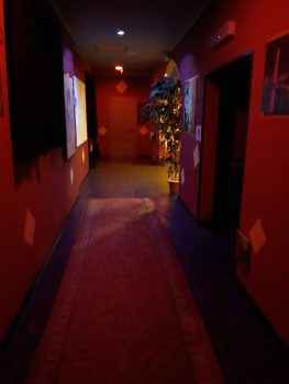 Консумация в клубе Ledi Night Pieve - в какой обстановке работают девушки?