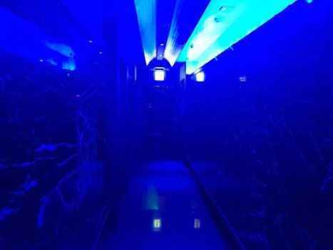 Фото-отзыв из караоке бара Hoo Goong от девушки хостес